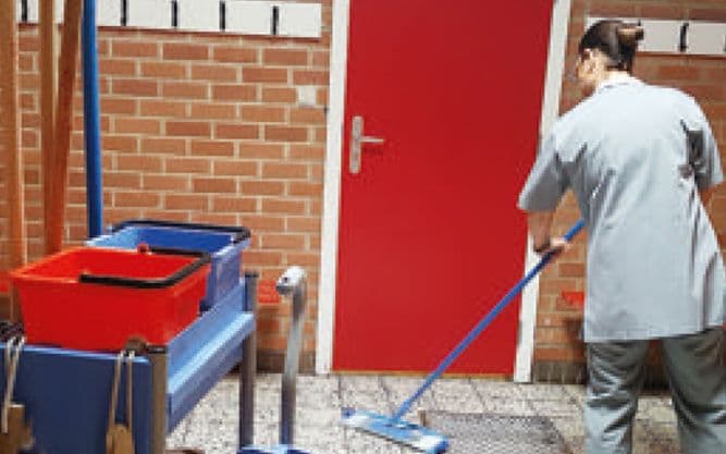 Plus propres grâce aux bactéries